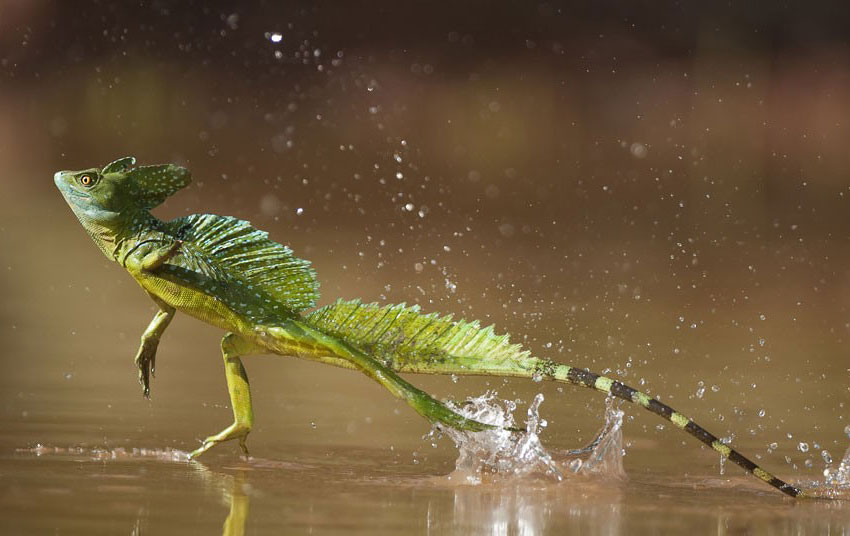 Costa Rica